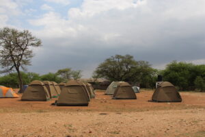 Serengeti Camp