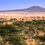 Tanzania & Zanzibar Honeymoon Safari – 8 Days Itinerary