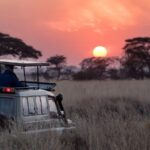 Sunrise to Sunset: 24 Hours on Safari