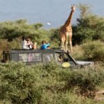 Sustainable Travel Tips in East Africa