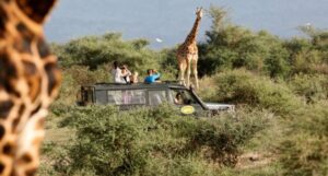 Sustainable Travel Tips in East Africa