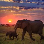 The Art of Slow Travel in East Africa