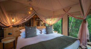 The Best Rwanda Luxury Lodges for Safari Travelers