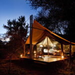 The Best Safari Camps for Families