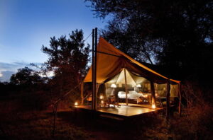 The Best Safari Camps for Families