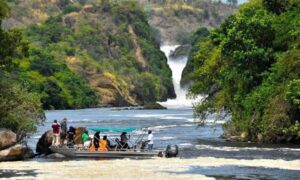 The Best Time to Visit Murchison Falls National Park