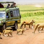 The Evolution of Safari Tourism in Africa