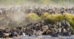 The Great Wildebeest Migration: Tanzania’s Side of the Story