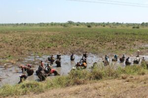 The Impact of Climate Change on East Africa’s Safaris
