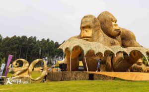The Kwita Izina Gorilla Naming Ceremony