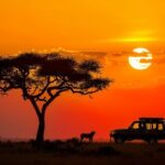 The Magic of African Sunsets in the Savannah