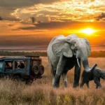 The Revival of Tourism in Post-Pandemic East Africa