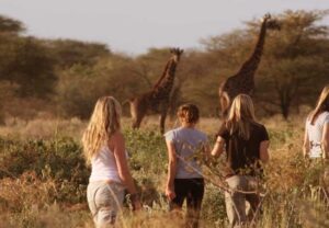 The Rise of Celebrity Safaris in East Africa