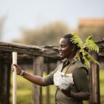 The Rise of Conservation Tourism in Rwanda