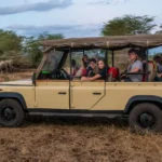 The Rise of Electric Safaris in Africa