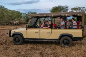 The Rise of Electric Safaris in Africa