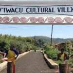 The Story of Gorilla Guardians in Volcanoes NP