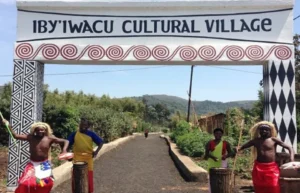 The Story of Gorilla Guardians in Volcanoes NP