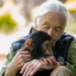 The Women Behind East Africa’s Safari Success