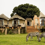 Top 10 Romantic Safari Destinations in East Africa