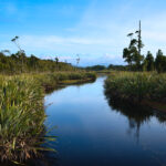 Top 12 Eco-Adventures in Africa