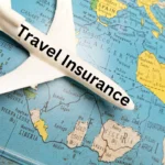 Travel Insurance Tips for Safari Travelers