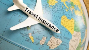 Travel Insurance Tips for Safari Travelers