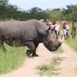 Uganda’s Ziwa Rhino Sanctuary
