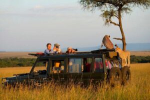 Ultra-Luxury Safari Photography Expeditions