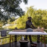 Wellness Safaris: Mindfulness in the Wild