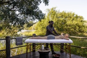Wellness Safaris: Mindfulness in the Wild