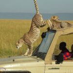 Why East Africa Should Be Your Next Safari Destination