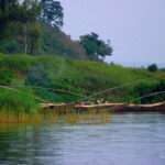 Fishermen Experience on Lake Kivu | Rwanda’s Night of Song, Tradition, and Tranquility