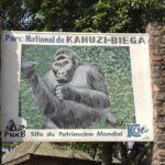 Kahuzi-Biega National Park – The Hidden Jewel of Eastern Congo