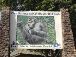 Kahuzi-Biega National Park – The Hidden Jewel of Eastern Congo