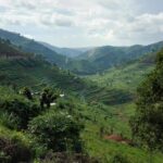 Top Reasons Why Tourists Visit Rwanda – The Land of a Thousand Hills