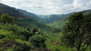 Top Reasons Why Tourists Visit Rwanda – The Land of a Thousand Hills