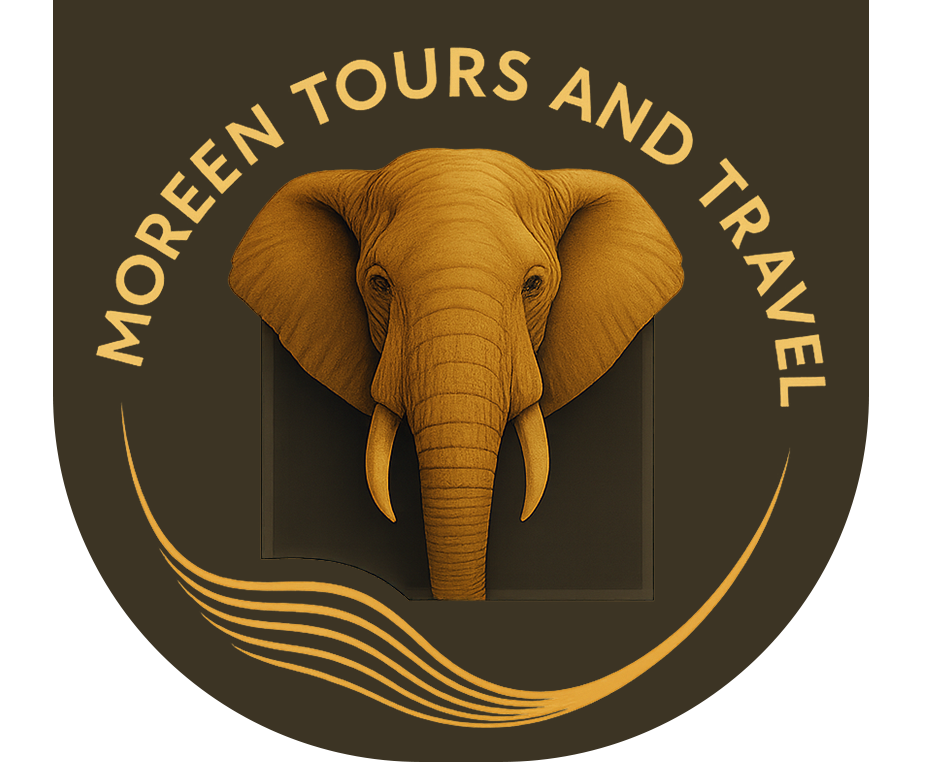 Moreen Tours & Travel