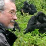 Best Rwanda Gorilla Safaris – Discover the Gentle Giants of Volcanoes National Park