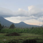 Why Visit Uganda? Top Reasons to Choose Uganda as Your Next Safari Destination