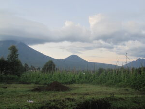 Why Visit Uganda? Top Reasons to Choose Uganda as Your Next Safari Destination