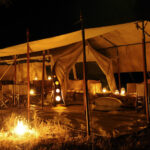 Night Game Drives in Uganda National Parks – Discovering the Wild After Dark