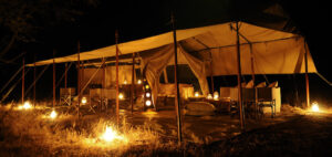 Night Game Drives in Uganda National Parks – Discovering the Wild After Dark