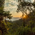 Night Walking Safari in Nyungwe National Park – Discover the Forest After Dark