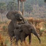 Rwanda Tourist Destinations You Absolutely Must Visit