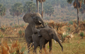 Rwanda Tourist Destinations You Absolutely Must Visit