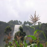 Discover Sipi Falls in Mount Elgon National Park