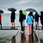 The Benefits of Joining a Group for Your African Safari