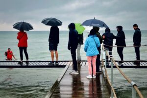 The Benefits of Joining a Group for Your African Safari