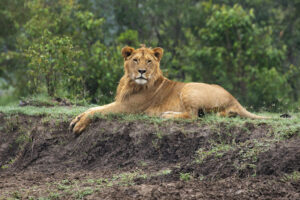 51143725220_b047193af5_b